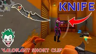 KNIFE | VALORANT SHORT CLIP #3