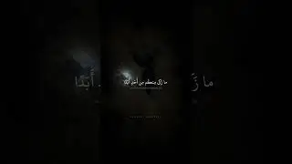 وَلَولا فَضلُ اللَّهِ عَلَيكُم وَرَحمَتُهُ | محمد صديق المنشاوي | سورة النور