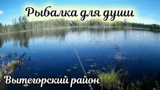 Летняя рыбалка рыбалка для души. Вытегорский район. Лето 2021г.