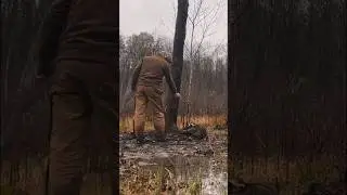 Chicken thief caught and executed!! 