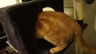 terry tower time
