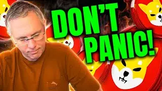 SHIBA INU - DON’T PANIC! WHAT’S GOING ON WITH SHIB!