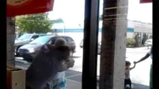 Family Dollar Female Fight