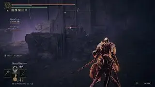 ELDEN RING Invaded the wrong grp