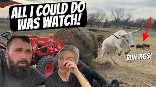 WHAT MADE HER DO THIS?!