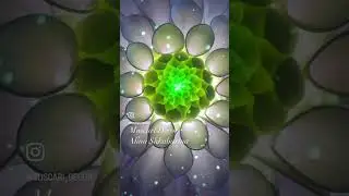 Мастер-Класс и цветы на заказ🌺