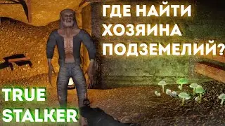 Как и где найти Хозяина Подземелий? - True Stalker
