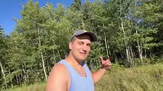 В Канаду тепер можна полетіти за один долар…