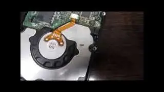 (2007) HDD Real Bug