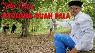 TETE MIN MALING BUAH PALA