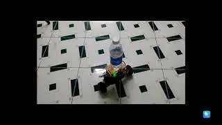 Two-Wheeled Self-Balancing Robot