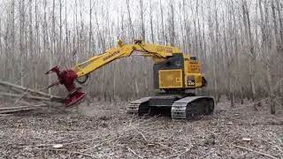 Amazing Modern Mega Machines Unusual Woodwork Sawmill Wood Timber Tractor Cleaver Saw Timberjack LbT