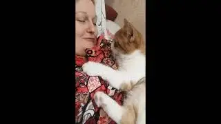 Хозяйка, я люблю тебя! Твой кот Бася 