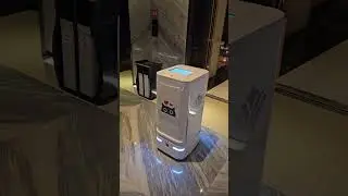 В Китае на роботов никто не обращает внимания.