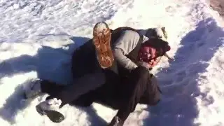 Куча мала или секс с собакой
