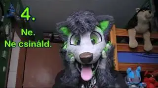 13 Fursuit tipp Danwolf-tól (Hungarian)