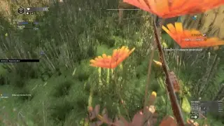 Dying Light