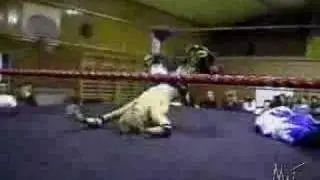 Wrestling Jason Starr Vs. HC Ryder 02