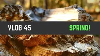 Vlog #45 - SPRING!