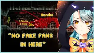 Aneoko has zero mercy for fake fans