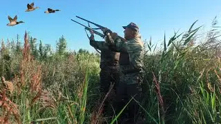 Отличная охота на осеннюю утку. Хорошие выстрелы и компания.