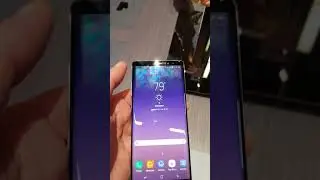 Samsung Galaxy Note 8. Первый взгляд