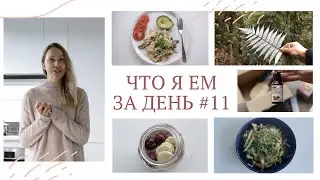 ЧТО Я ЕМ ЗА ДЕНЬ #11 | Низкоуглеводное питание меню #палео