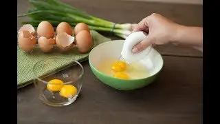 10 Egg Gadgets Put to the Test