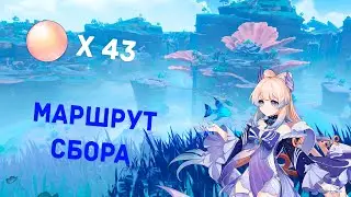 Жемчужина санго, маршрут сбора  - Genshin Impact