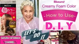 HOW TO USE BLAUNĒ FOAM COLOR | DIY | GRAY HAIR DYEING DEMONSTRATION