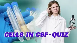 Cells In CSF Identification Training Quiz 🔬