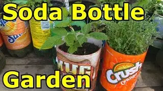 Building a Soda Bottle Garden