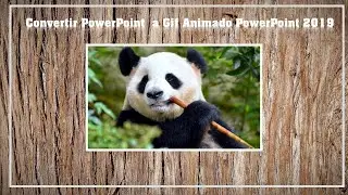 Convert PowerPoint to Animated GIF PowerPoint 2019 Version