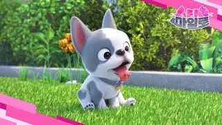 [샤샤&마일로🐾] 봉봉 킁킁❤ 봉봉 헥헥😛 봉봉 달려🐶