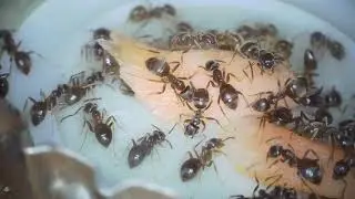 Feeding part 2