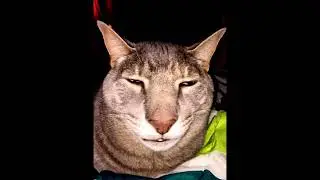 Lord Humongous The Destroyer Has Awoken