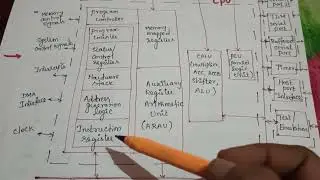 Architecture of TMS320C5x/DSP