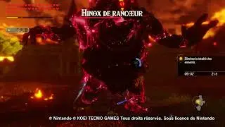 Hyrule warriors : Age of calamity malice inox fight ( link )