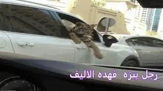 اغرب 24 شيء قد تراها في دبي