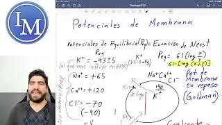 Fisiología | Primer parcial 5 | Potencial de equilibrio y potencial de membrana en reposo