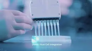 Donor host cell integration and photoreceptor transplantation for RP and AMD