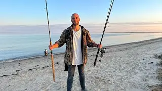 Fishing Off The Beach For Gummy Sharks ( CATCH & RELEASE )