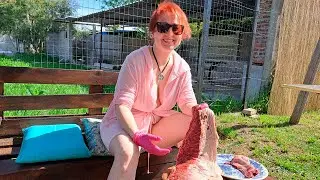 Preparing meat for barbecue in Uruguay. BBQ. Cooking on fire in the village. Mila naturist