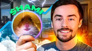 Running a Multi-Million Dollar Solana Meme Coin Project ($HAMI Update 8)