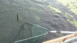 Ловля Щуки на Ангаре