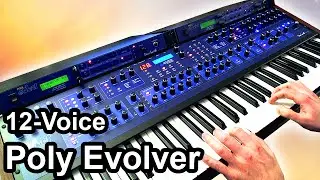 DSI POLY EVOLVER (12 Voices) - Ambient Chillout Soundscape - Dave Smith Instruments 【SYNTH DEMO】