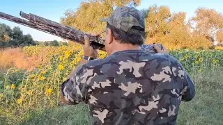 Üveyik Avı 2022 - Refaattin Demirel – Dove Hunting Istanbul Turkiye