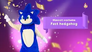 Fast hedgehog Mascot Costume