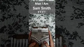 Sam Smith - Man I Am ||| Ellin Kalimba cover  #kalimba