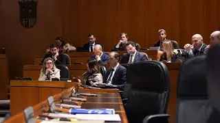 VOX se queda solo en el apoyo a las familias, la natalidad y la mejora de la conciliación familiar